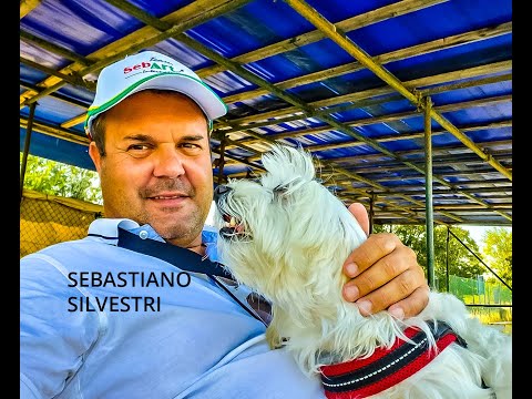 IMAC EUROPE - Interview with Sebastiano Silvestri, famous Pilot and airplanes designer