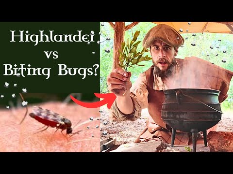 How Highlanders Dealt With Biting Bugs - 4 Midge Survival Tactics from History