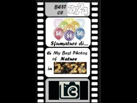 50 Sfumature di… 📸 My Best Photos of Nature in 2024 by .LB. 📸.