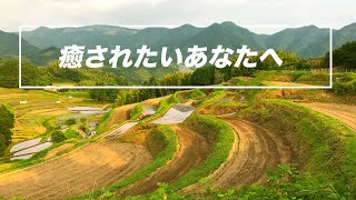 癒されたいあなたへ　〜棚田風景〜
