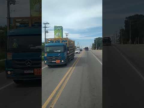 br116 fábrica de sucos Jandaia desde 1941, Pacajus-ce #deus #nordeste #sucosjandaia #pacajus #fé #y