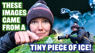 Winter Nature Photography ❄️ Photographing Magical Images From a Tiny Piece of Ice