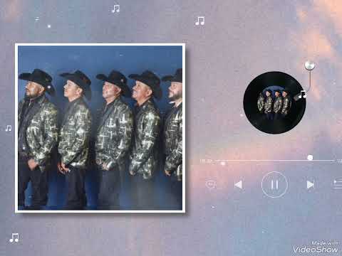 LOS GATOS DEL NORTE- VOLVIO EL DOLOR(DAR) 2023