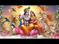 Radha Krishna Background Video Lord Krishna Motion Graphics No Copyright Video Radhakrishna