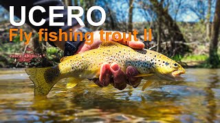 Ucero - Trout fly fishing II