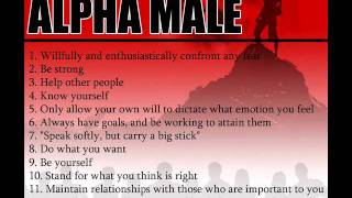 The Alpha Male Guide   So what do you do