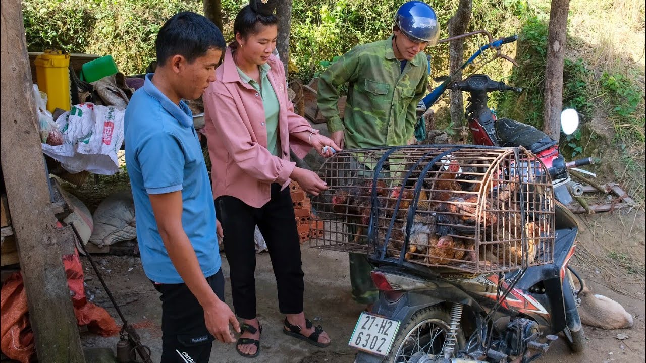 Selling Chickens, Going to the Forest to Find Trees to Raise Honey Bees | Family Farm
