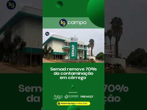 Semad remove 70% da contaminação em  em córrego de Professor Jamil – 31/07/2026 – Lig News