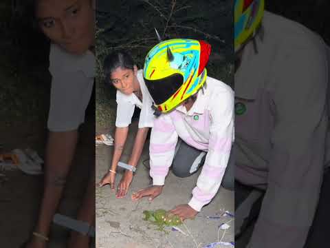 😂ayo eruma saani nalla vaela nakki pakkala😁|#ttf #kuttyttf #motovlog #superbike #pyrosgirl #jarvis