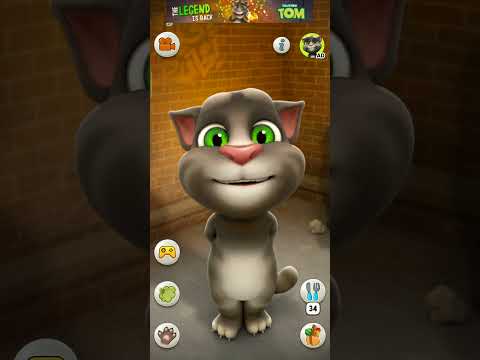 Dudi Dudi dam dam #cat #funny #catlover #cute #cutecat #shortsfeed #trending #comedy