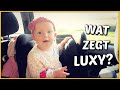 WAT ZEGT LUXY NOU VOOR WOORDJE? ?( de Schatberg) | Bellinga Vlog #1669