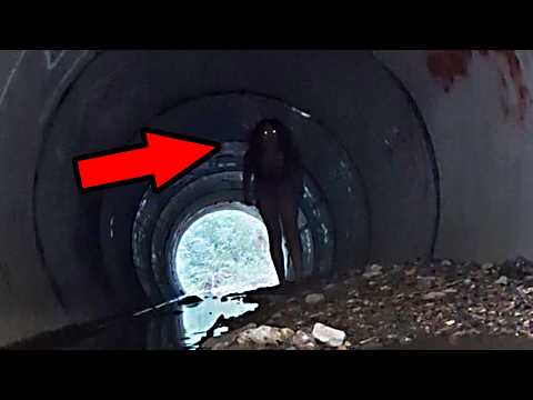 SCARY Videos OR Are You A BIG BABY ?