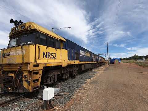 NR52, 110, 8184 & AN2 Goobang Jnc East NSW.  Tue 12th Jan 2021