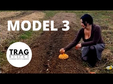 FAST GROWING OF FOOD - MODEL 3 (2021) [TRACE OF THE PLANT]