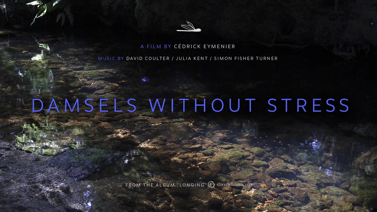 Damsels Without Stress (trailer)