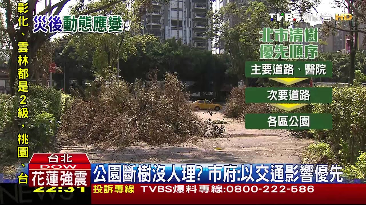 公園斷樹沒人理? 市府:以交通影響優先