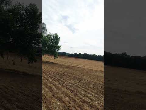 Zona Rural de Castro região do Maracanã ... #zonarural #agro #castro #parana #paraná