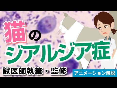 猫のジアルジア症 - 症状と治療