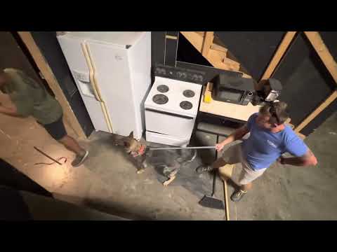 “Lagertha” Vom Hanrahaus engaging an agitator without any hesitation.