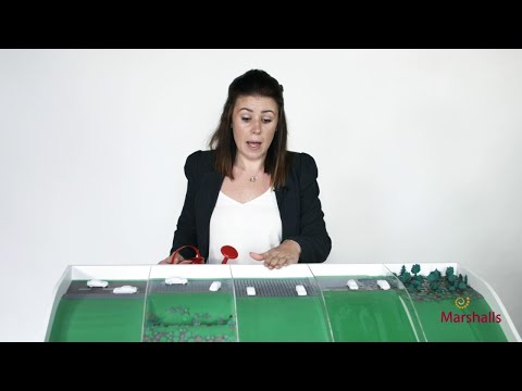 What are Sustainable Drainage Systems (or SuDS) and how can they stop flooding? | MarshallsTV