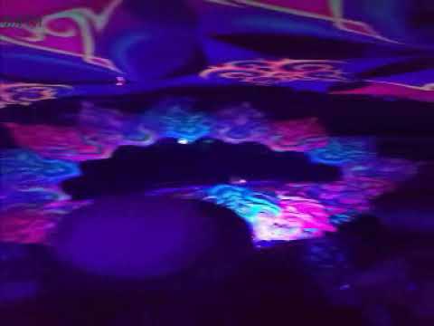 Cesar Mimesis @ Goa Experience XV