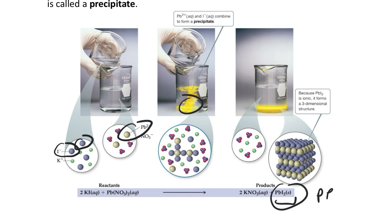 Lecture 13 - Fri Sept 20 - AU24