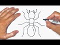 How to draw an Ant Step by Step