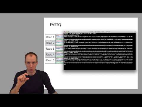 ADS1: Reads in FASTQ format