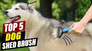 Top 5 Best Dog Shed Brushes in 2026 – Stop Shedding & Keep C