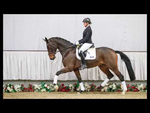 17  Felicita Stute v. Feedback - Biasini