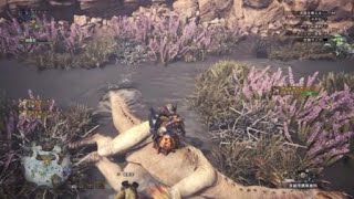 モンスターハンター：ワールド_とてもうまくいった動画