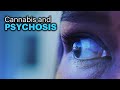 Cannabis Question Extra Is There A Link Between Cannabis And Psychosis