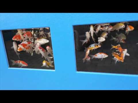 Vijverafdeling Ollevier en Co