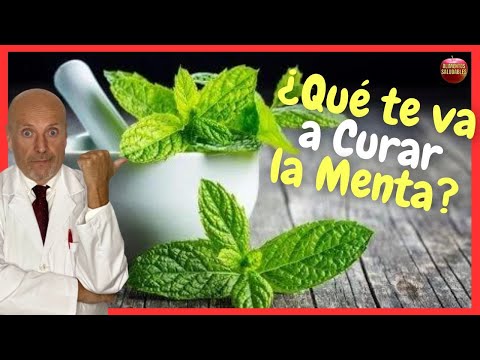 WHAT CURES AND WHAT IS MINT USED FOR AS A MEDICINAL PLANT? 12 USES AND BENEFITS