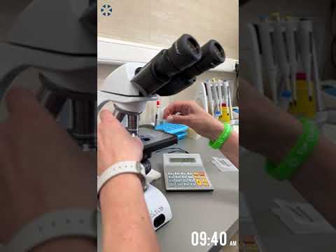 Рекламний ролик клініки Деніс з демонстрацією пневмопошти