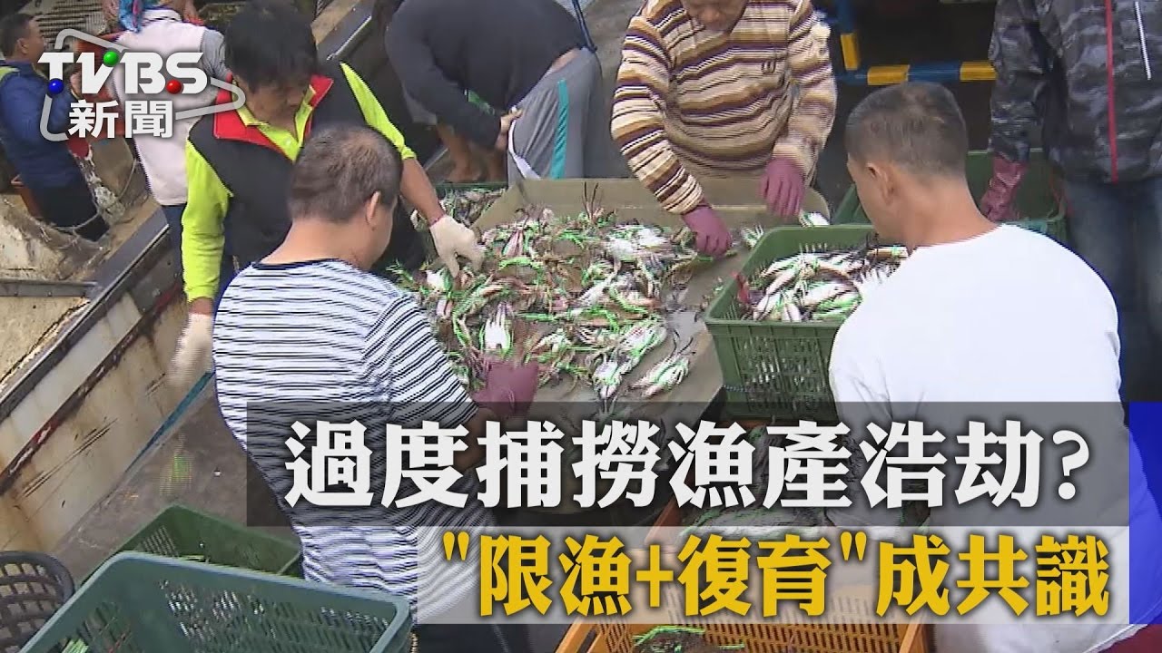 過度捕撈漁產浩劫? 「限漁+復育」成共識