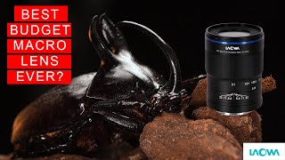 LAOWA 50mm f2.8 Macro | Lumix GH5 | Best Budget Macro LENS EVER? | Better than Sony Canon and Pentax