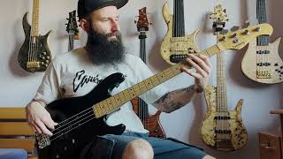 Video thumbnail for R.S.Riverman - bass cover on NYC Sadowsky by Jozef Madola