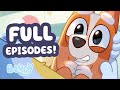 BEST FULL EPISODES From Bluey Season 2 40 MINUTES ️ Bluey