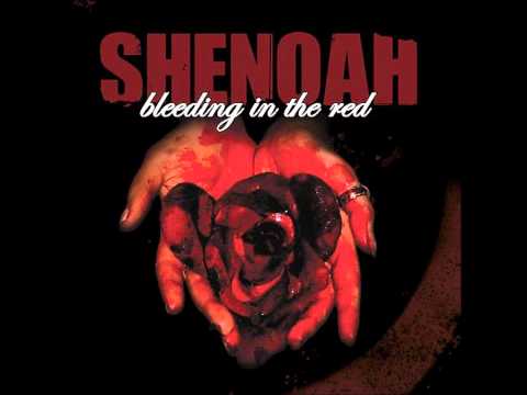 Shenoah - Bullets and Numbers