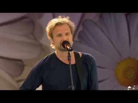 Det Betyder Ingenting - Stefan Andersson