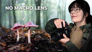 I Did Fungi Photography Without a Macro Lens