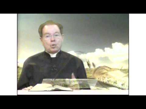 O Pão Nosso 12 Março 2016   -    Pe.F.C. Cardoso