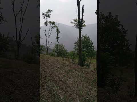 Nature with Maroof 🥰🥰😋