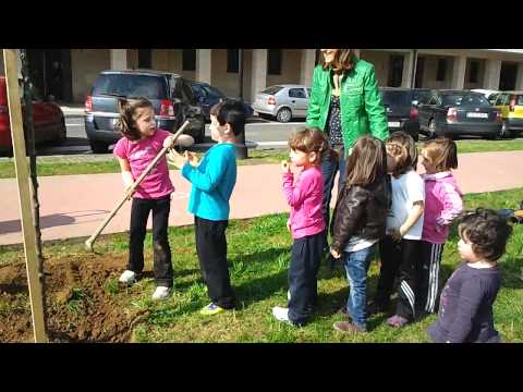 Zuhaitz eguna I- 2012