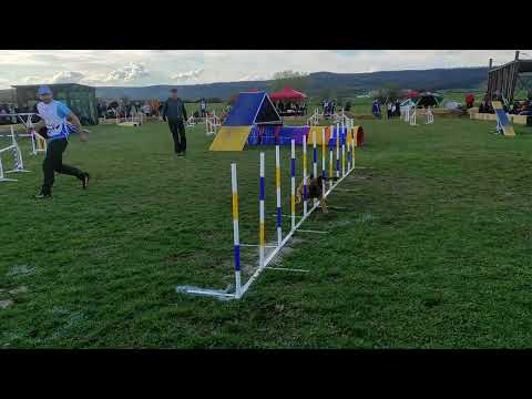 Apple Deabei - FMBB 2023 - agility teams