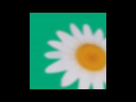 ulla - foam (2022) [Full Album]