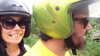 Tenniscoats - Papaya (Indonesia chillfest)