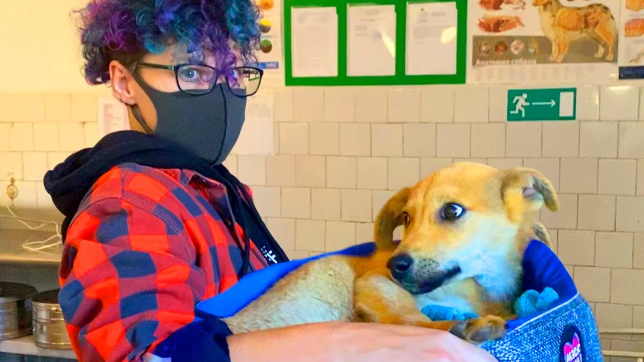 СПАСЛА ЩЕНКА! НОВАЯ СОБАКА