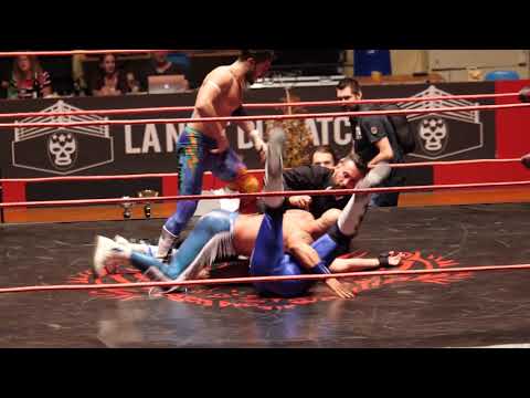 VINCE NT (VINCENT STABILE)   vs TEMPESTA vs FLASH